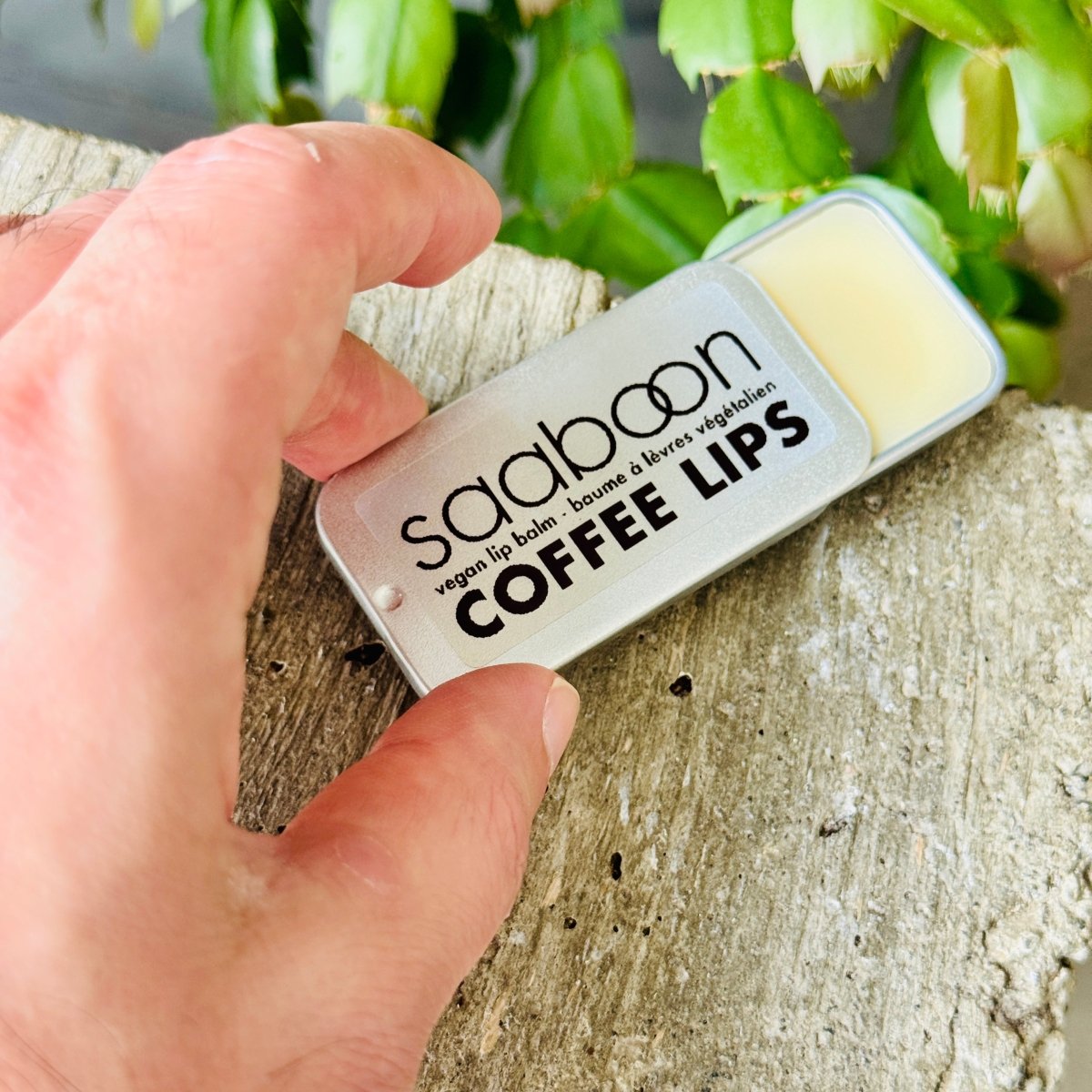 COFFEE LIPS - SAABOON